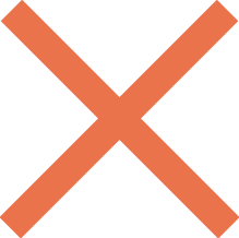 An X icon, indicating labels that were validated as incorrect